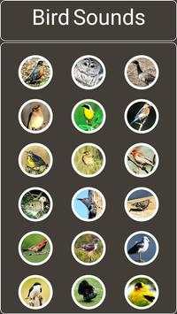 bird sounds screenshot 1