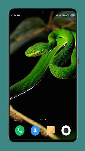Snake Wallpaper HD screenshot 9