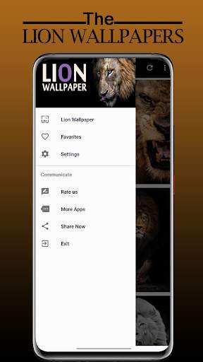 Lion Wallpaper Full HD - Sher Ka Photo Wallpaper screenshot 8