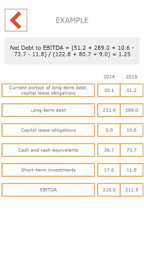 Financial analysis demo screenshot 5