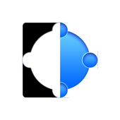 Display icon
