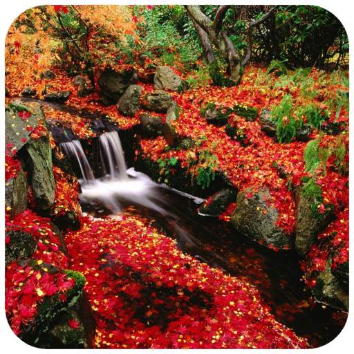 Autumn Wallpaper 1.09