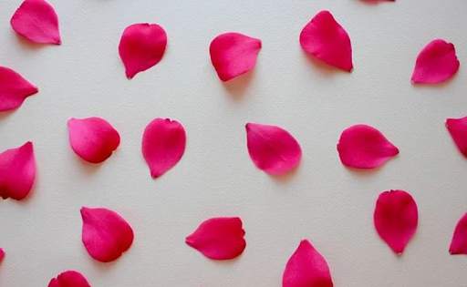 Red Rose's wallpaper &WhatsApp Roses Sticker screenshot 7