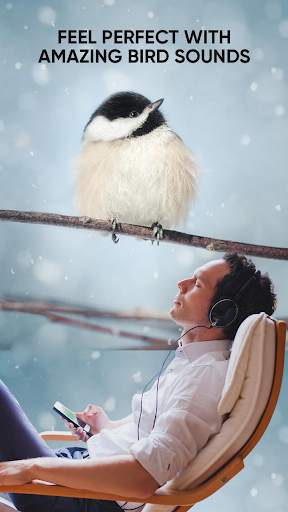 Bird Sounds: Free Bird Ringtones, Calls, Songs Mp3 screenshot 5