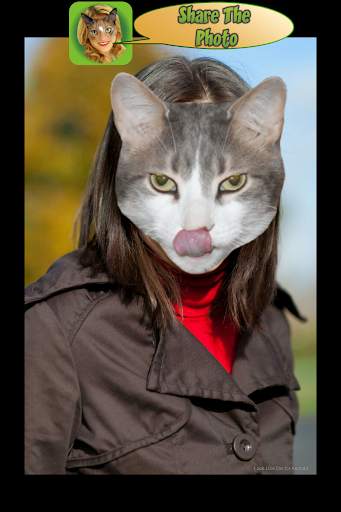 Look Like Cat screenshot 11