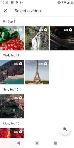 Japanese Sakura Garden Video Wallpapers Gallery screenshot 3