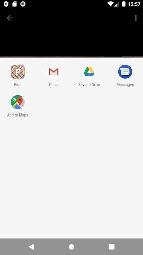 Pion Web Share photo, video, audio, pdf screenshot 1