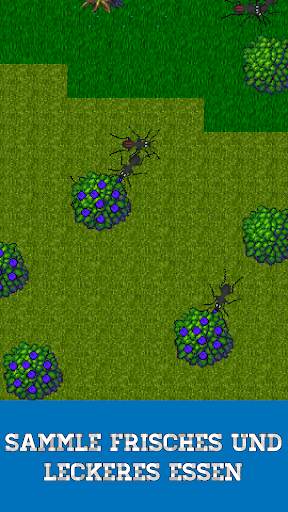 Ant Evolution - ameisensimulator screenshot 2