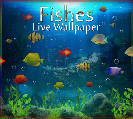 Fishes Live Wallpaper 2021 - Aquarium Koi Bgs screenshot 9