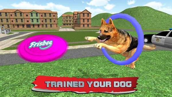 Police Dog Training Sim 2015 screenshot 11