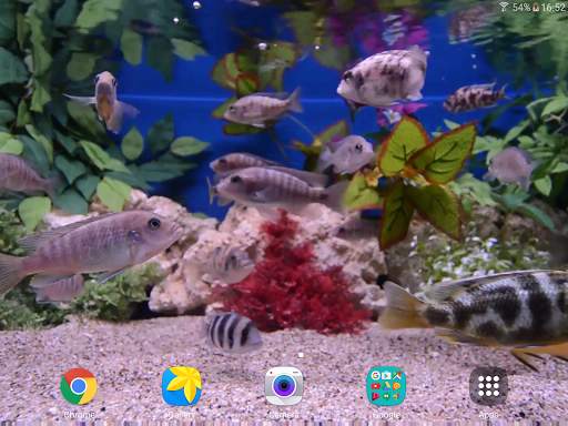 Aquarium 4K Live Wallpaper screenshot 10