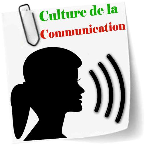 Culture de la communication 2.0