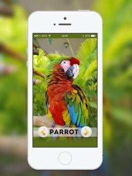 Animal & Birds Sound for kids screenshot 6