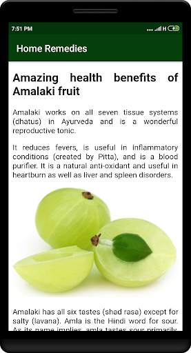 Home Remedies screenshot 5