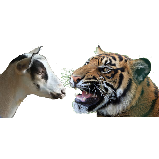 Bagh-Bakri (Tiger-Goat) icon