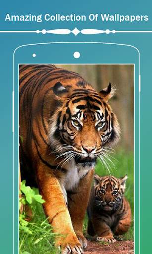 Tiger Hd Wallpapers screenshot 7