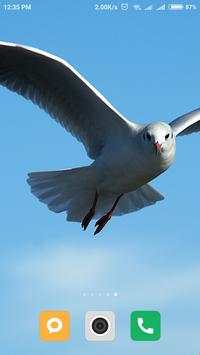 Bird wallpaper screenshot 3