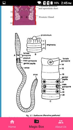 Mnemonic(Physics, Chem, Biology, Botany, Zoo, Med) screenshot 3