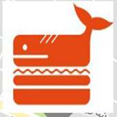 Fish Car