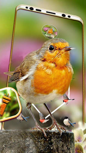 Bird Launcher Theme screenshot 5