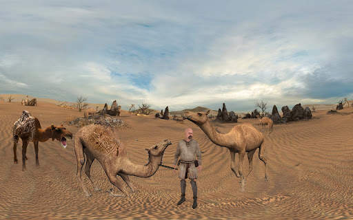 Camel Attack Fighting screenshot 2