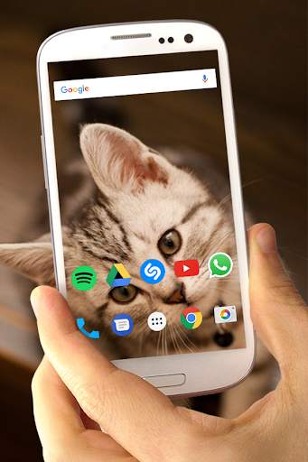 Transparent Screen Live screenshot 4
