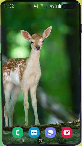 Deer Wallpaper HD screenshot 16