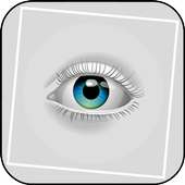 Fact About Eyes