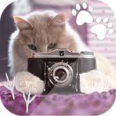 Pet Photo Editor logo