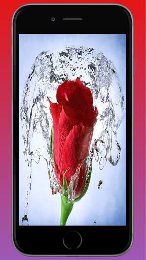 Red Wallpapers HD screenshot 4