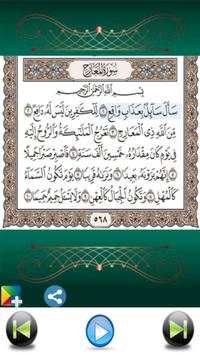 Holy Quran audio offline 6 تصوير الشاشة