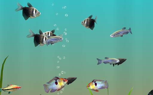 MyLake 3D Aquarium screenshot 3