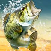BIG FISH KING logo