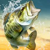 BIG FISH KING 1.0.999999