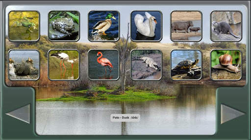 ANIMALES - ANIMALS screenshot 5