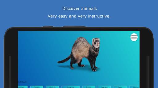 Learn Animals Free - Tracing & Locating screenshot 5