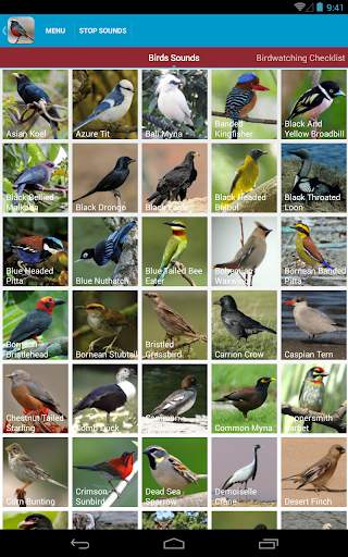 Asian Birds Sounds Free screenshot 10