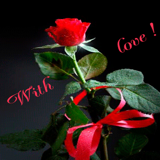 Valentine Rose Shine LWP icon