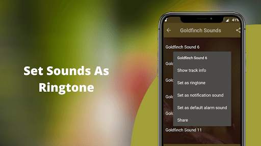 Goldfinch Sounds - Goldfinch bird calls screenshot 3