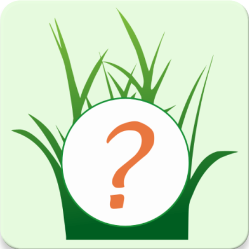 Quest Helper GO   GO Rocket icon