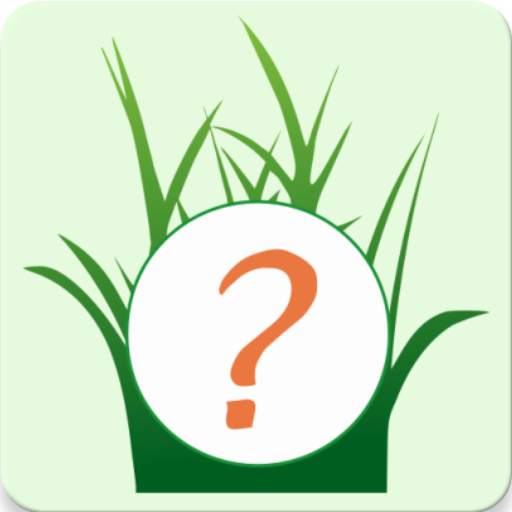 Quest Helper GO   GO Rocket 4.407_(2022.05.13)