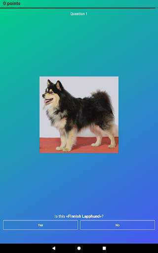 Dog Quiz: Guess the Breed — Game, Pictures, Test screenshot 23