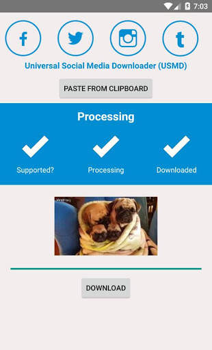 Universal Social Media Downloader USMD screenshot 2