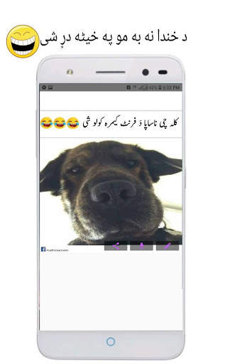 Pashto Jokes -Sarcastic,Social,Roasting,Girlfriend screenshot 4