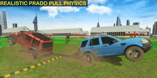 Prado Pull screenshot 3