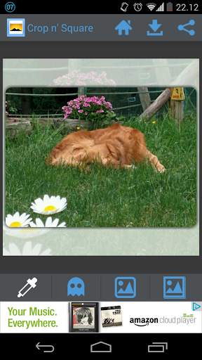Crop n' Square - Easy crop images into a square! screenshot 5