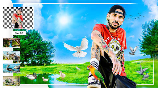 Bird Photo Editor Pro 2024 screenshot 6