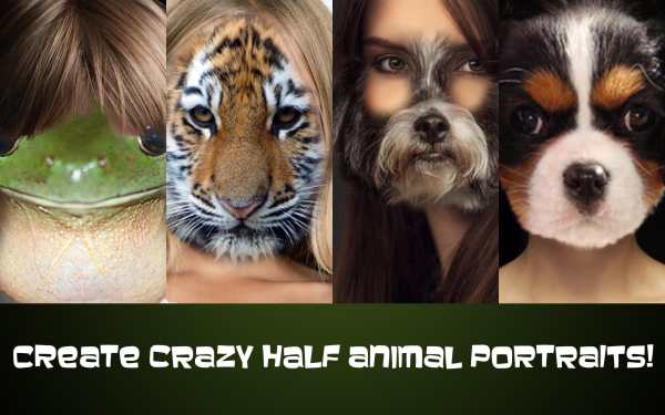 Animal Face Photo screenshot 5