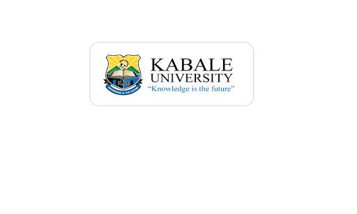 Kabvile Mobile screenshot 2