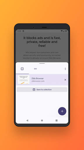Zibb Browser screenshot 2